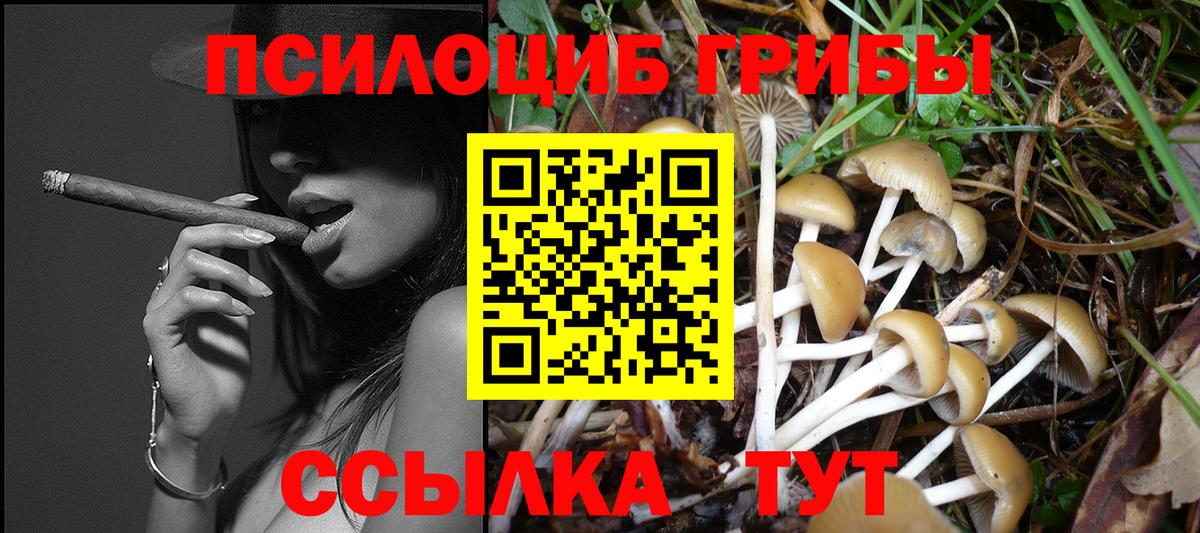 Галлюциногенные грибы Cubensis Владикавказ