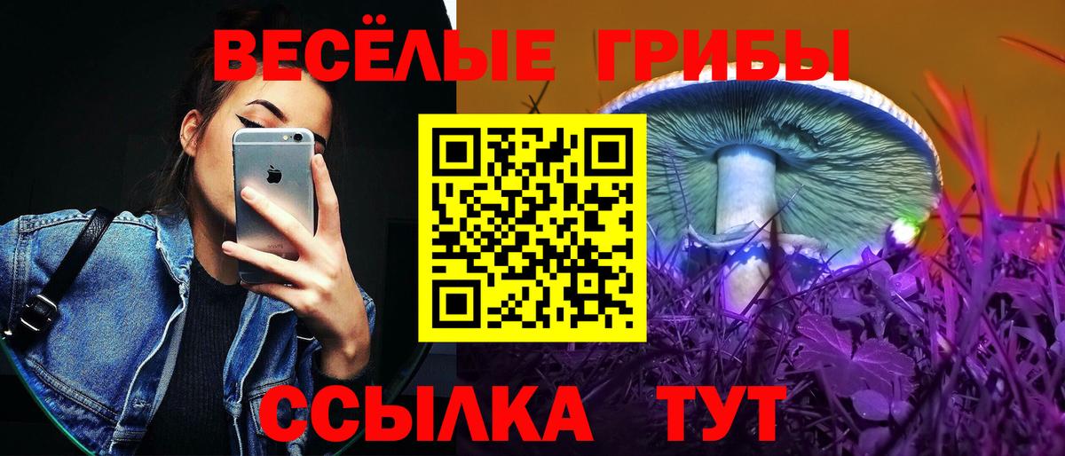 наркотики  Псилоцибиновые грибы Magic Shrooms  Вход с VPN  Владикавказ 